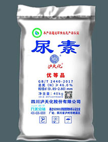 热烈祝贺本网站全新上线！